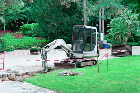 Lawn Clearing